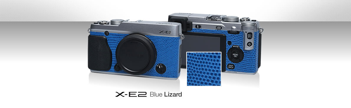 X-E2 Blue Lizard