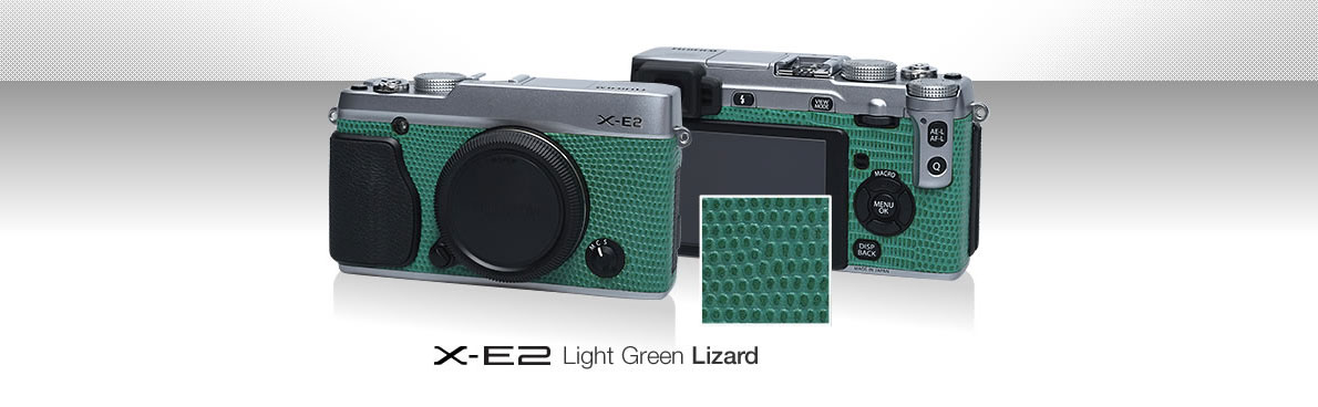X-E2 Light Green Lizard