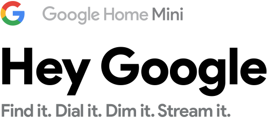 download google mini