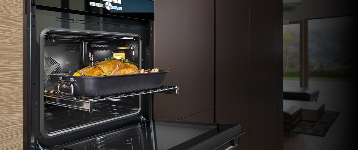 pyrolytic ovens