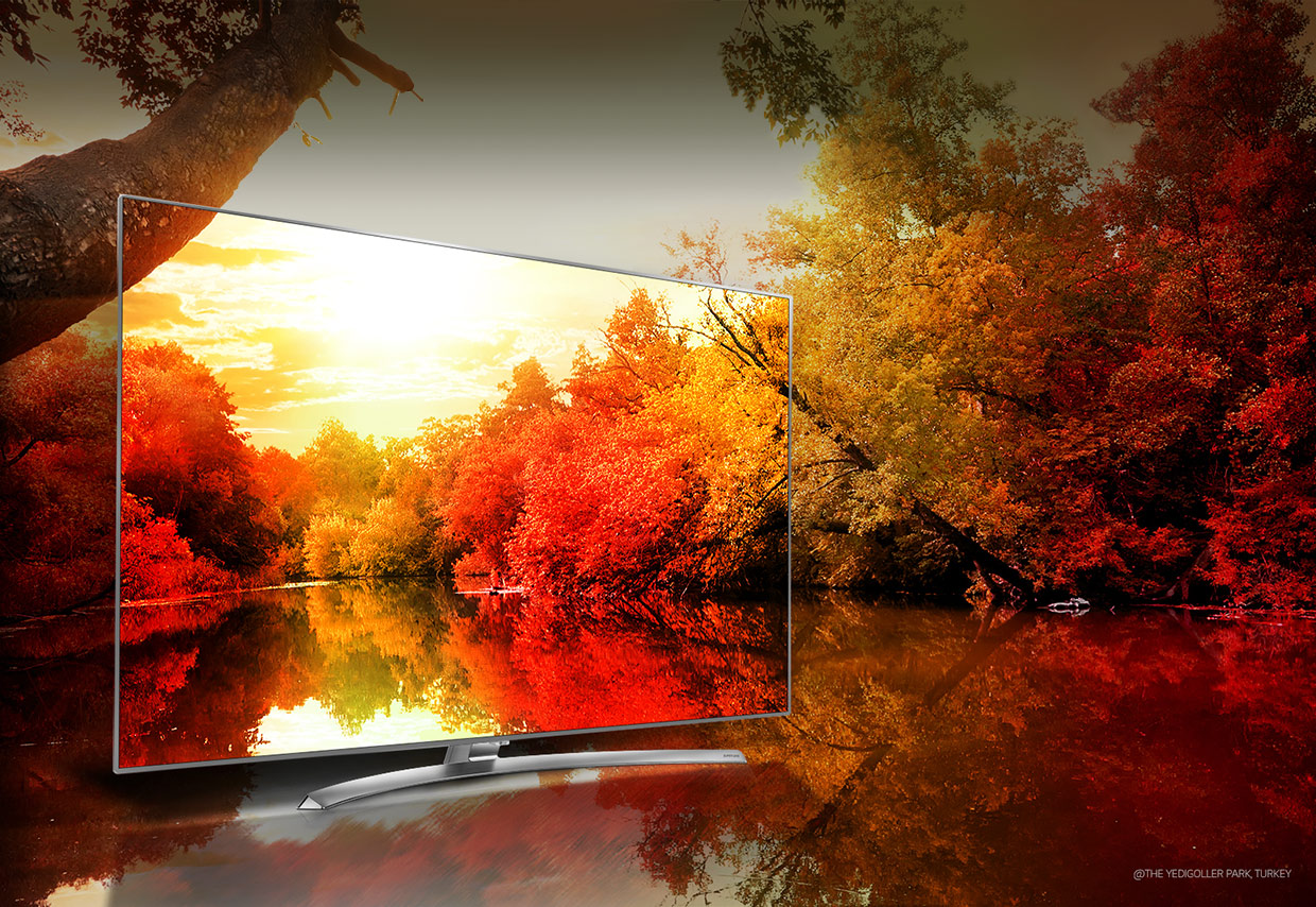 OLED