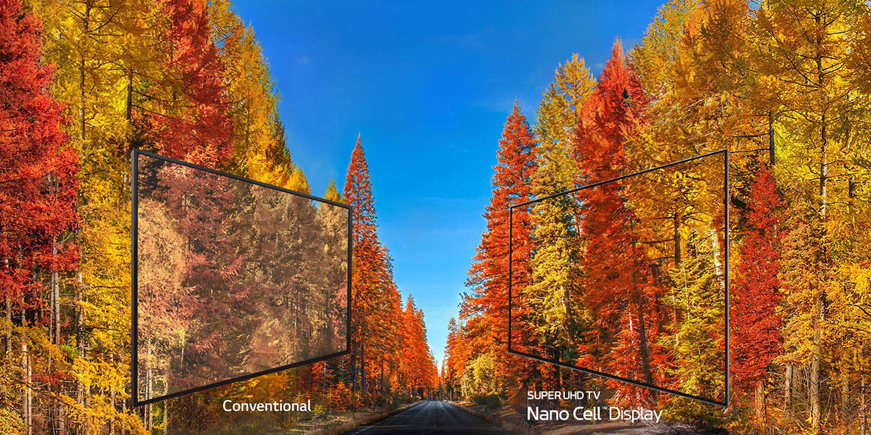 Vivid 4K Viewing from Any Angle