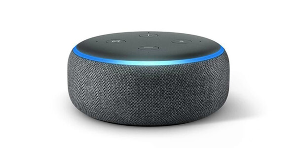 Voice control assistants