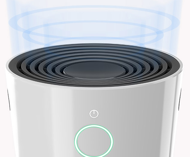 purify the air